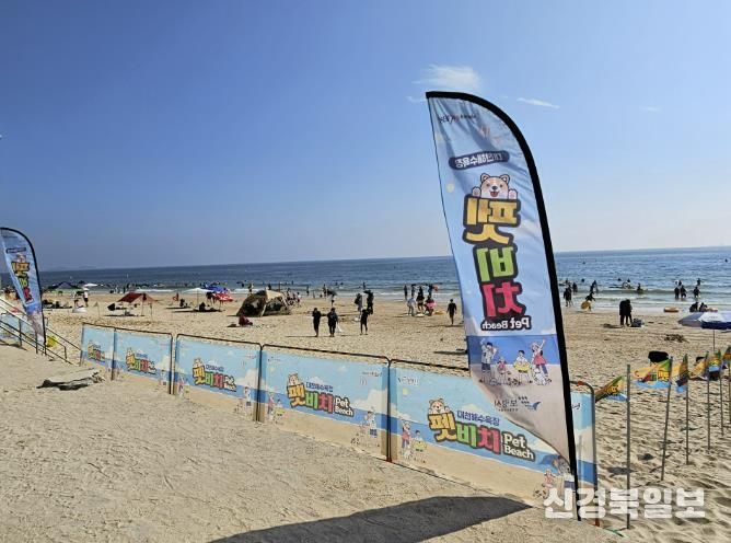 펫비치 사진(2024년)