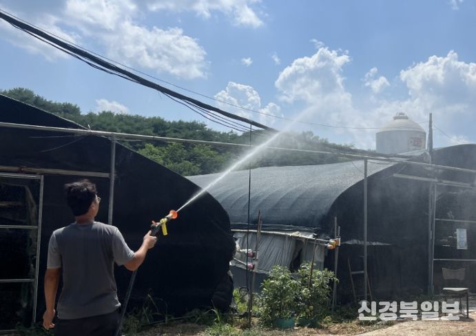 축산농가 소독