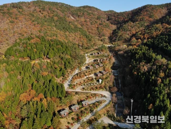 사진대지