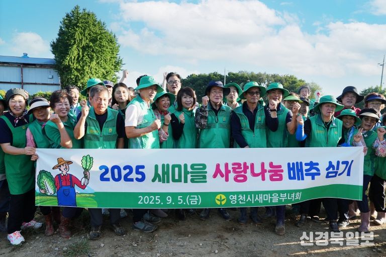 영천시새마을회, 이웃사랑 김장배추 모종 심기 나서