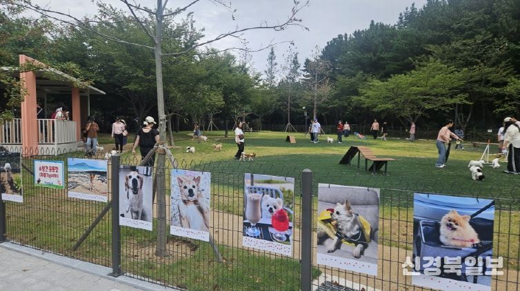 지난 12일 흥해읍 죽천리 영일만 근린공원에 조성된 반려동물 테마공원 ‘포항펫필드’의 개장식을 개최했다.