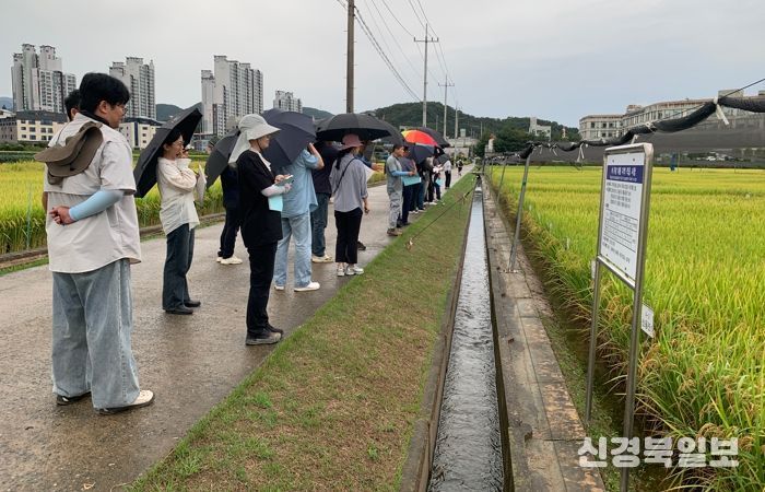 기후변화 대응 경북 지역 특성에 맞는 벼 신품종 찾는다.