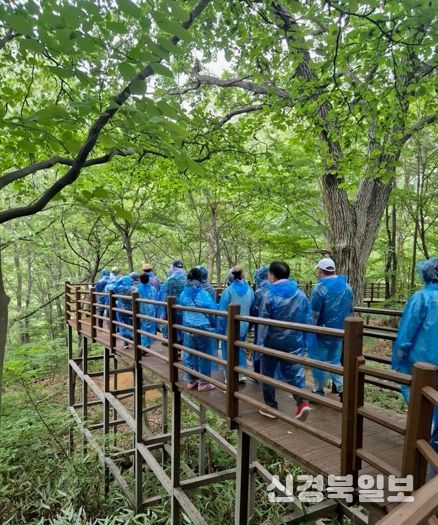 경주시 치매안심센터는 지난 18일 국립청도숲체원에서 치매 환자와 가족을 대상으로 ‘산림치유 힐링 프로그램’을 진행했다