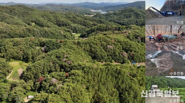 안동시, 재선충병 확산 차단 나선다