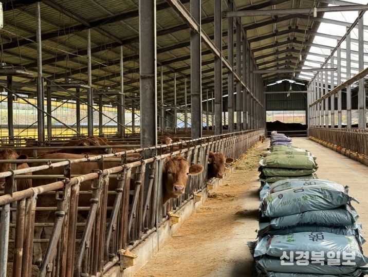포항시는 지역 내 모든 농가를 대상으로 배합사료 구입비 지원 신청을 받고 있다.