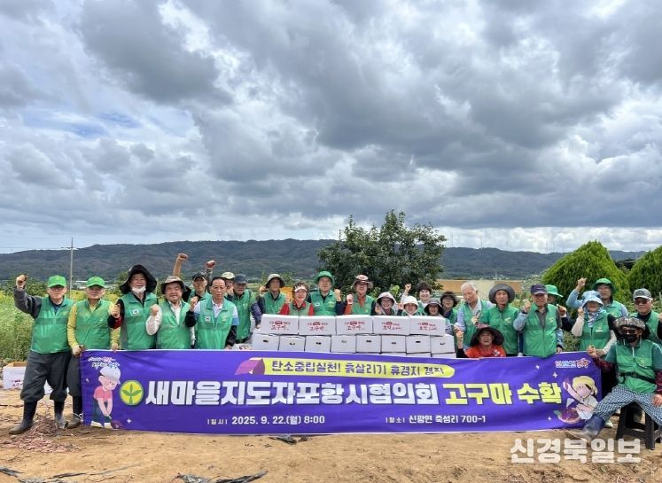 새마을지도자포항시협의회는 지난 22일 신광면 휴경지 일원에서 2025년 흙살리기 휴경지 경작 고구마 수확 활동을 마무리했다.