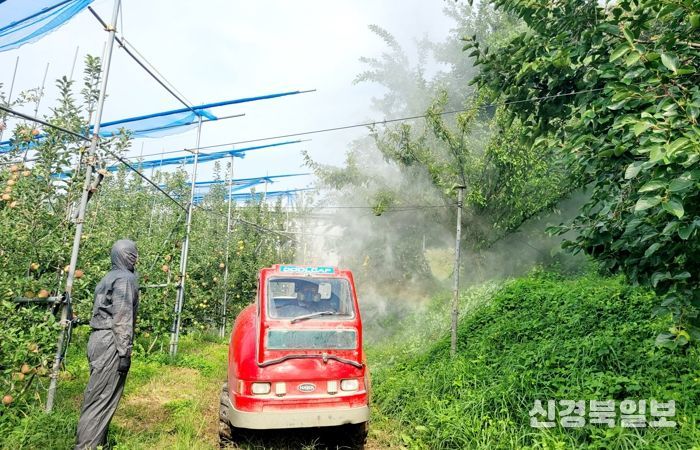 병해충 방제 사진