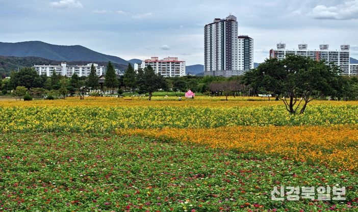 경주시가 황성문화공원 내 유휴부지에 시민과 관광객이 함께 즐길 수 있는 계절별 꽃 정원을 조성했다.