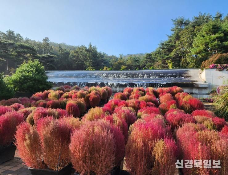 벽천의 가을 댑싸리