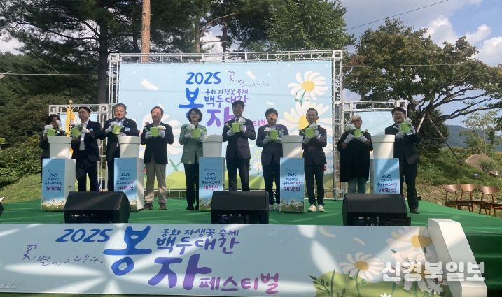 봉자페스티벌