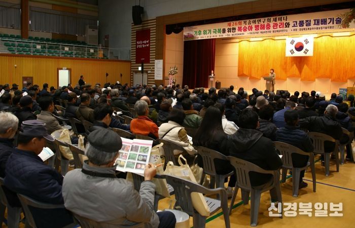 경북도, 복숭아 탄저병 방제는 이렇게 하세요!