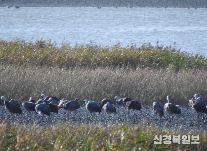 겨울 핫플, ‘순천여행’