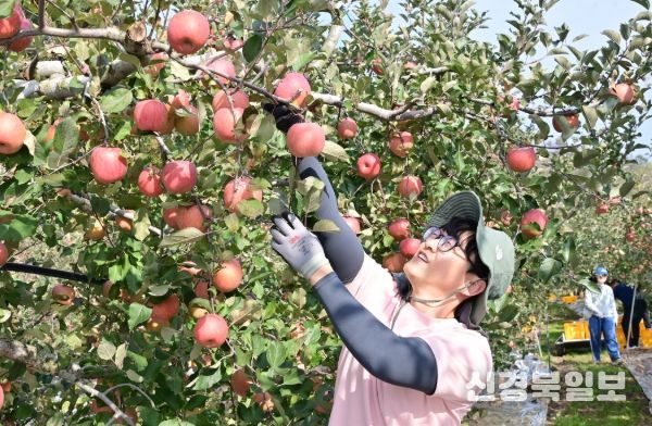 청송군, 가을철 농촌일손돕기 추진