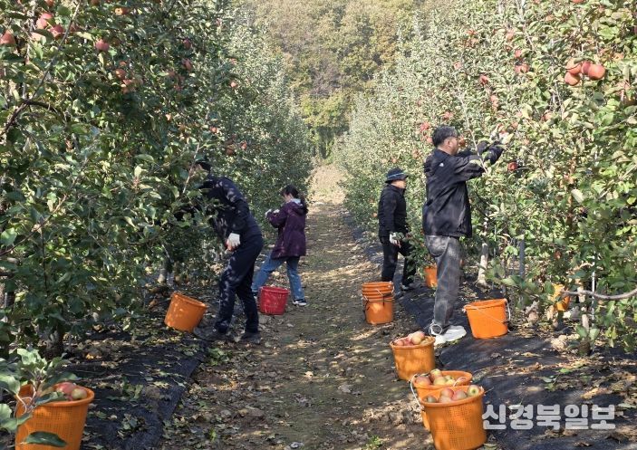 시설관리사업소 일손돕기