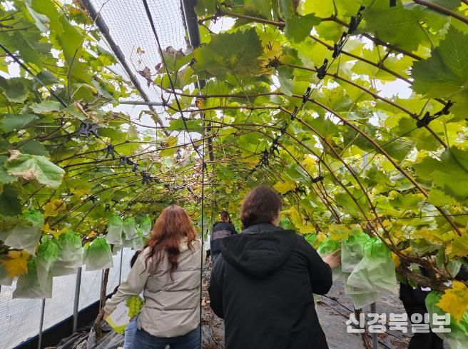 가족과 함께 특별한 밤, ‘2025 김천 나이트투어’ 성료