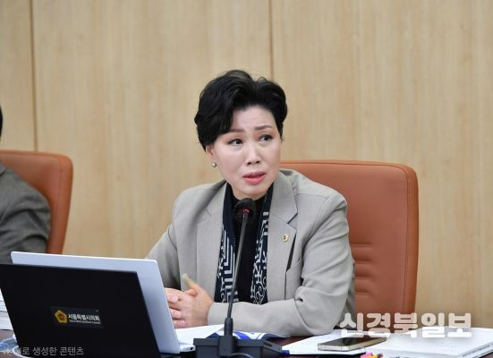 서울시의회 최재란 의원