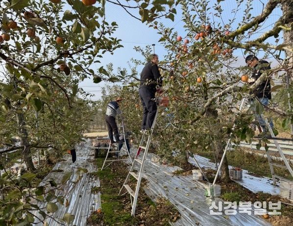 주택관리공단 대구경북지사, 농촌 일손돕기