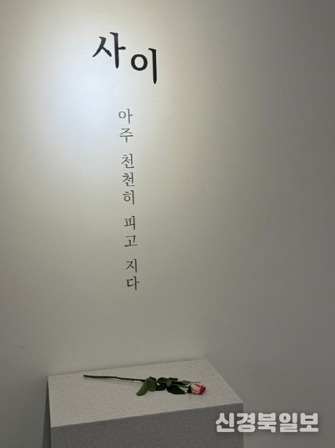 박소은 작가 초대전 <사이, 그리고 꽃> 개최