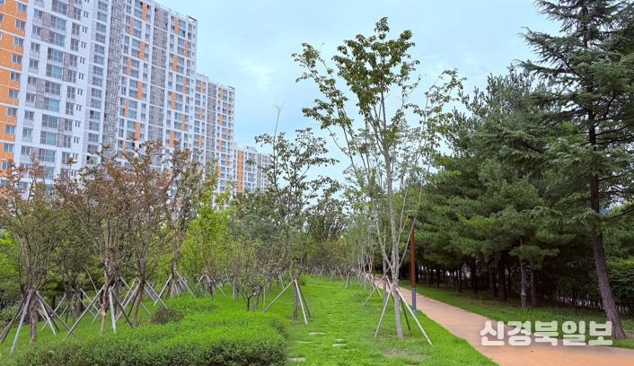 구미시, '녹색도시 우수사례' 전국 1위…기후대응숲 최우수상 수상