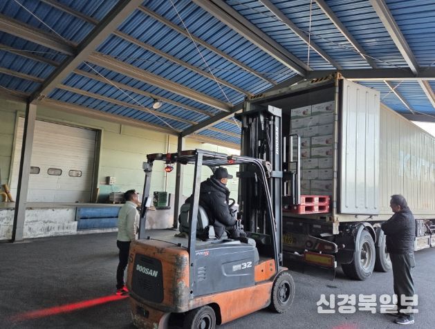 영주 사과 11톤, 싱가포르 수출길 올라