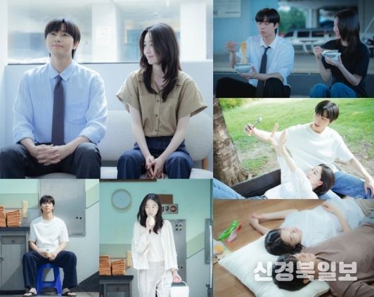 사진 제공: SLL, 아이엔, 글뫼