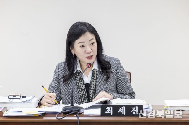 최세진 부위원장(더불어민주당, 비례대표)