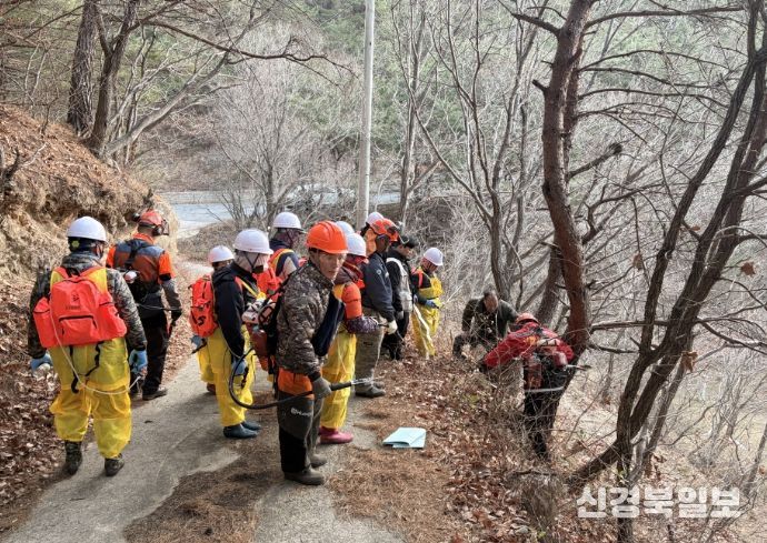 울진군, 소나무재선충병 확산 차단 총력