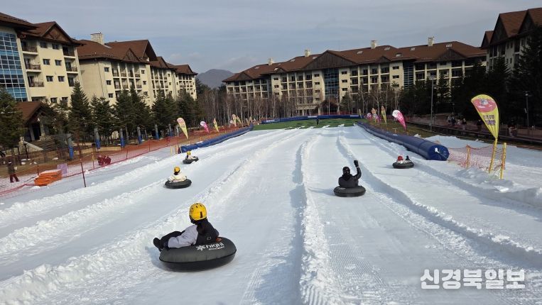 드림썰매단 출발! 하얀 설원 위, 추억 만들기