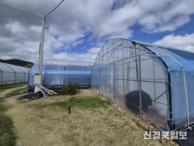 봉화군, 2026년 가업승계 우수농업인 정착지원사업 신청접수