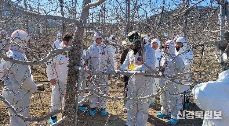 영덕군 농업기술센터가 농가 현장에서 화상병 예찰과 방제 교육을 진행하고 있다.