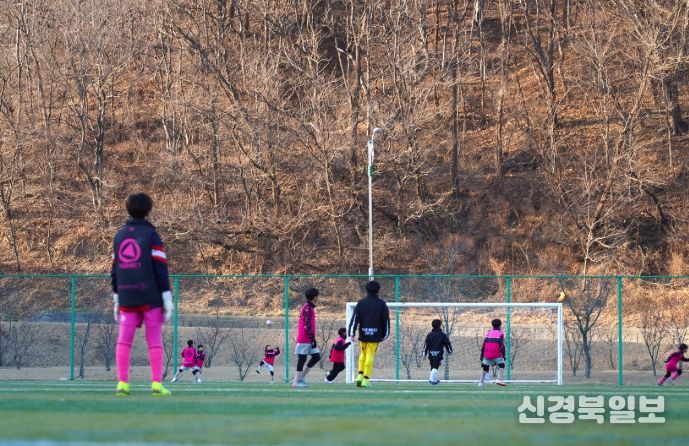 동계 전지훈련‘스포츠 르네상스’가속