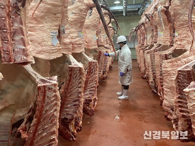 출하가축 도축검사