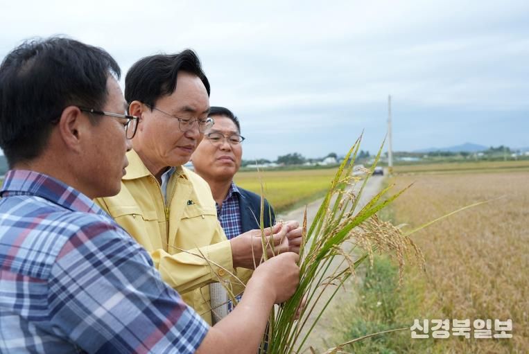 나주시가 벼 깨씨무늬병 피해를 본 농가에 복구비를 지원한다. 사진은 윤병태 시장(가운데)이 벼 깨씨무늬병 상태를 살피고 있는 모습.