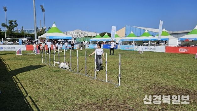 반려동물 문화축제 행사 현장. 사진2. 한우농가 현장