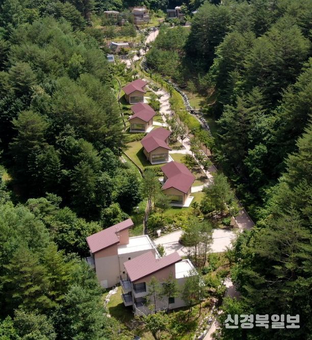 울진군 금강송에코리움, 민간위탁 운영