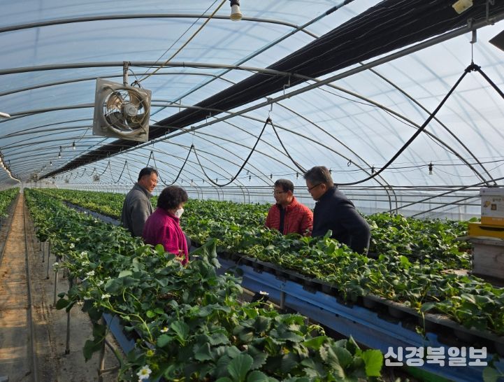 경북 Berry-Good Project 연계, 5회 현장 교육