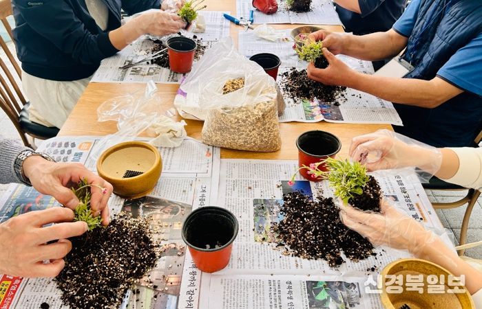 경주 동궁원 식물아카데미 수강생들이 분갈이 실습을 하며 생활원예 교육에 참여하고 있다