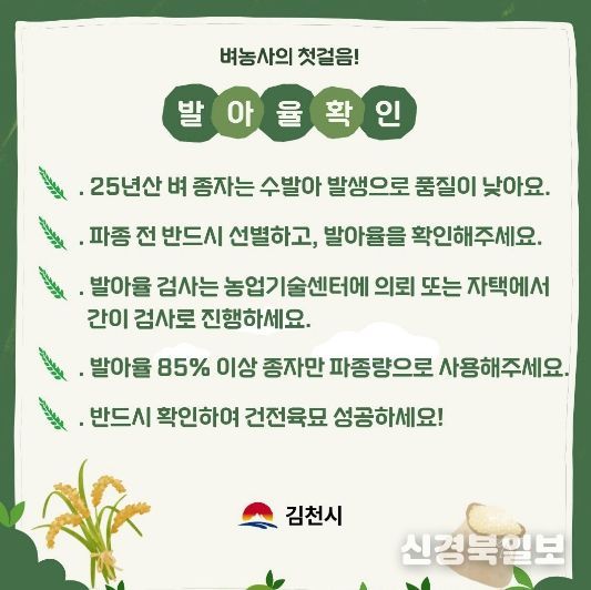 벼농사 첫걸음, 종자 파종 전 발아율 꼭 확인하세요!