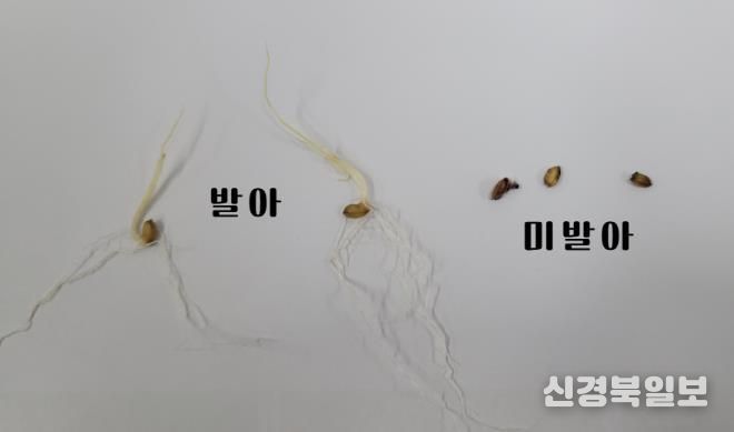 상주시농업기술센터