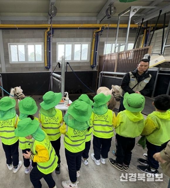 어린이 말체험 사진