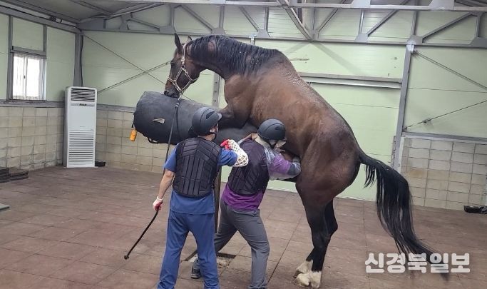 거점번식 지원사업 사진