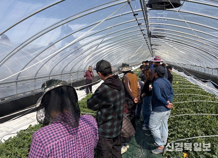 성주참외 현장 전문가 양성 박차!