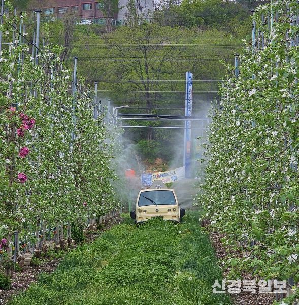 안동시, 과수화상병 ‘개화기 적기 방제’ 총력