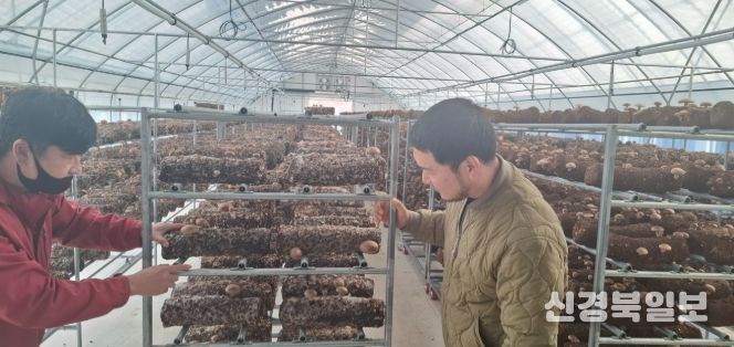 선도농가와 1:1 맞춤형 교육으로 청년농‧귀농인 안정 정착 지원